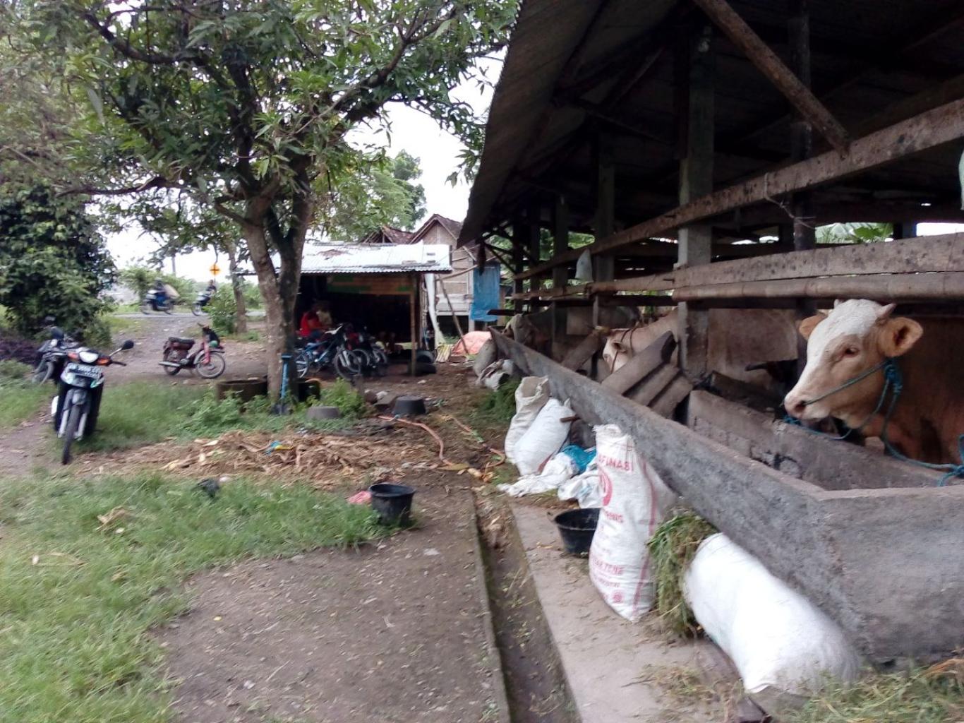 Bincang Santai Kelompok Ternak Pakarti, Keputren