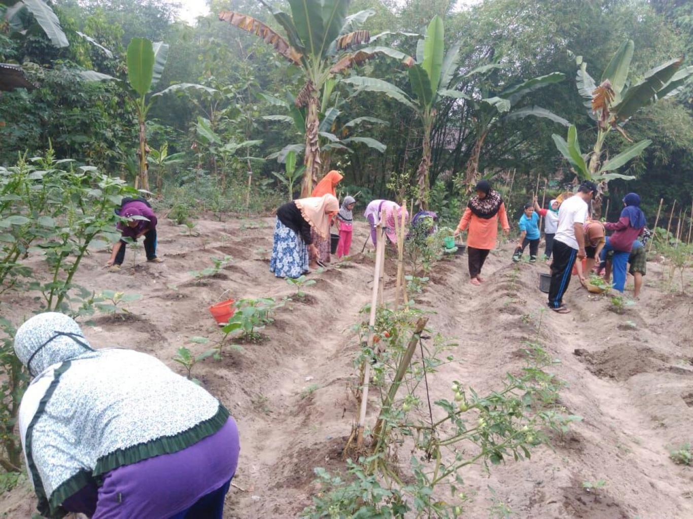 GALAKKAN PENANAMAN TOGA, KWT Kanggotan Lakukan Kerja Bakti