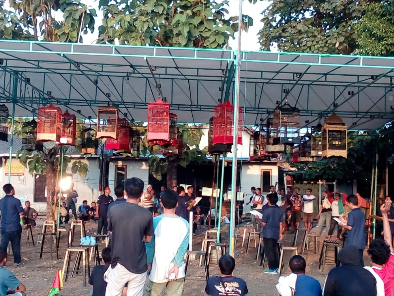 Kicauan Burung Menghiasi Lapangan Sultan Agung Pleret