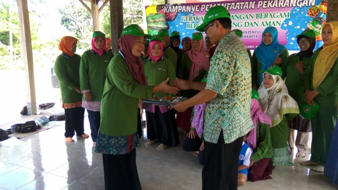 Maksimalkan Lahan Pekarangan untuk Menopang Ketahanan Pangan