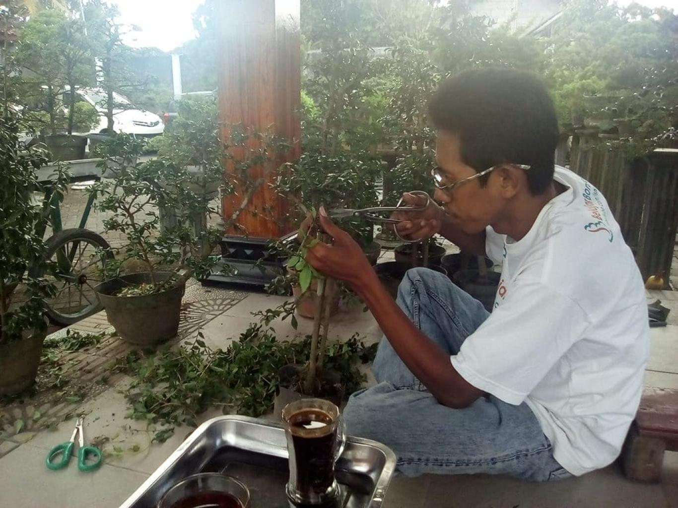 Sekretaris Taruna Tani Desa Pleret Belajar Membuat Bonsai di Sleman