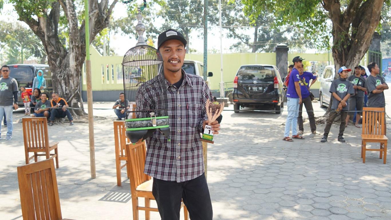 Kopi Darat Penggemar Burung Pleci