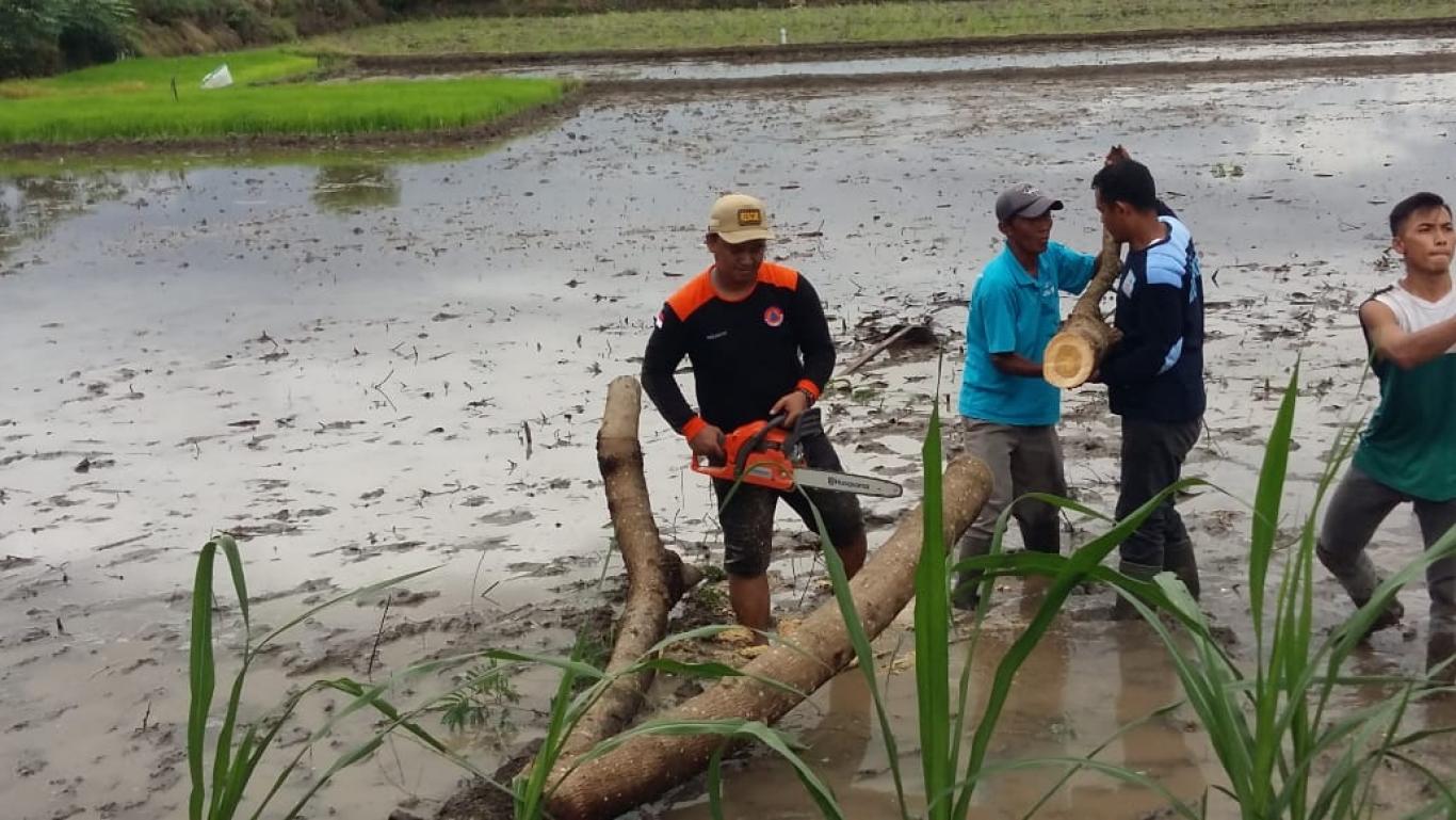 Penanganan Pohon Tumbang di Gerjen Kauman