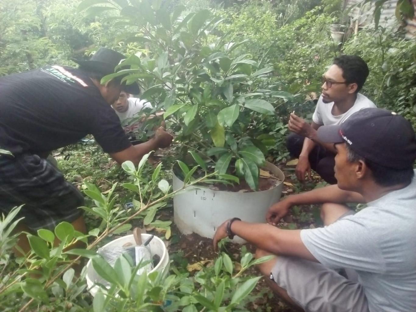 Kunjungan Komunitas Bonsai Yogyakarta ke Pleret