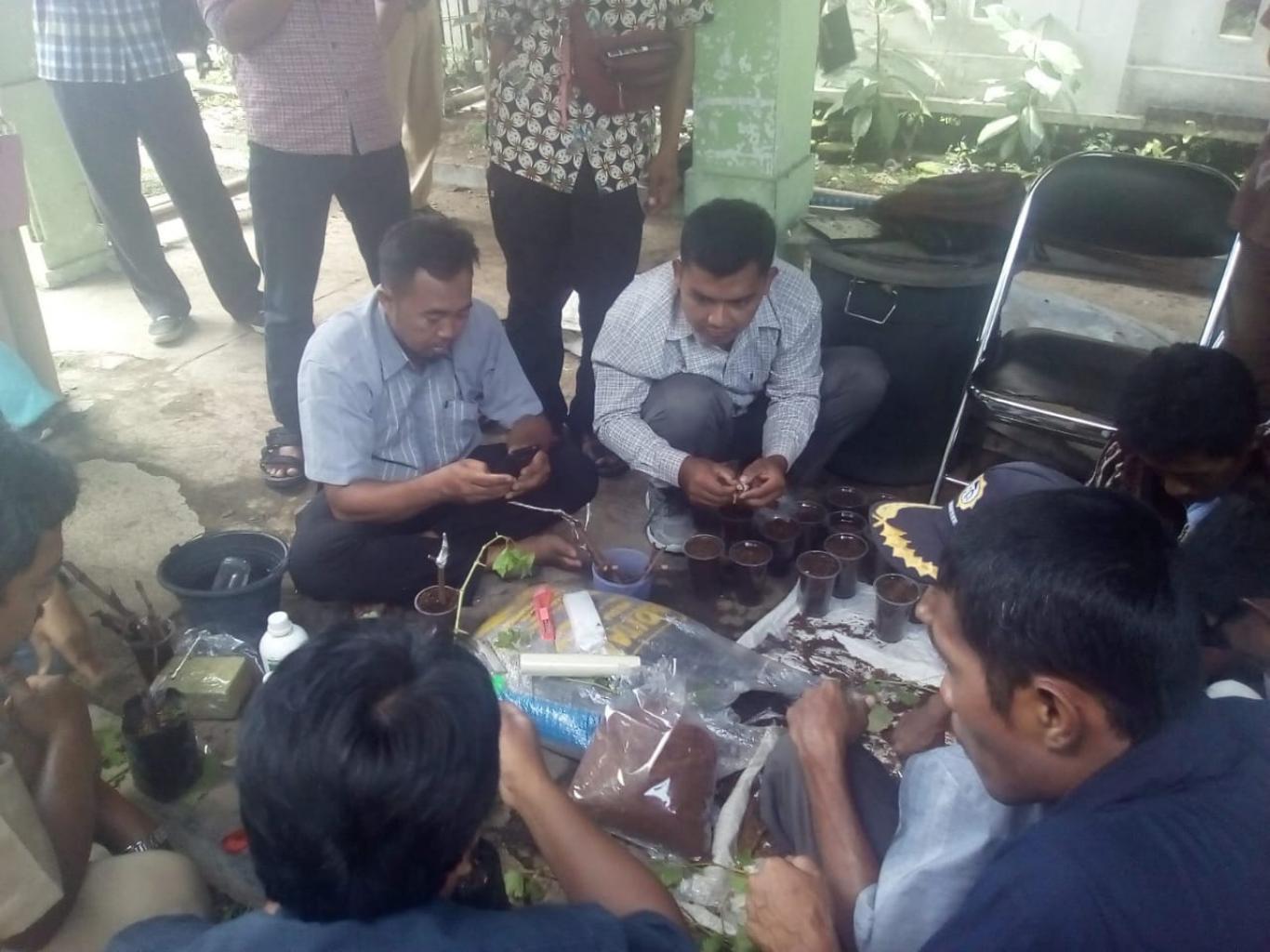 Praktek Pembibitan dan Sambung Batang Anggur