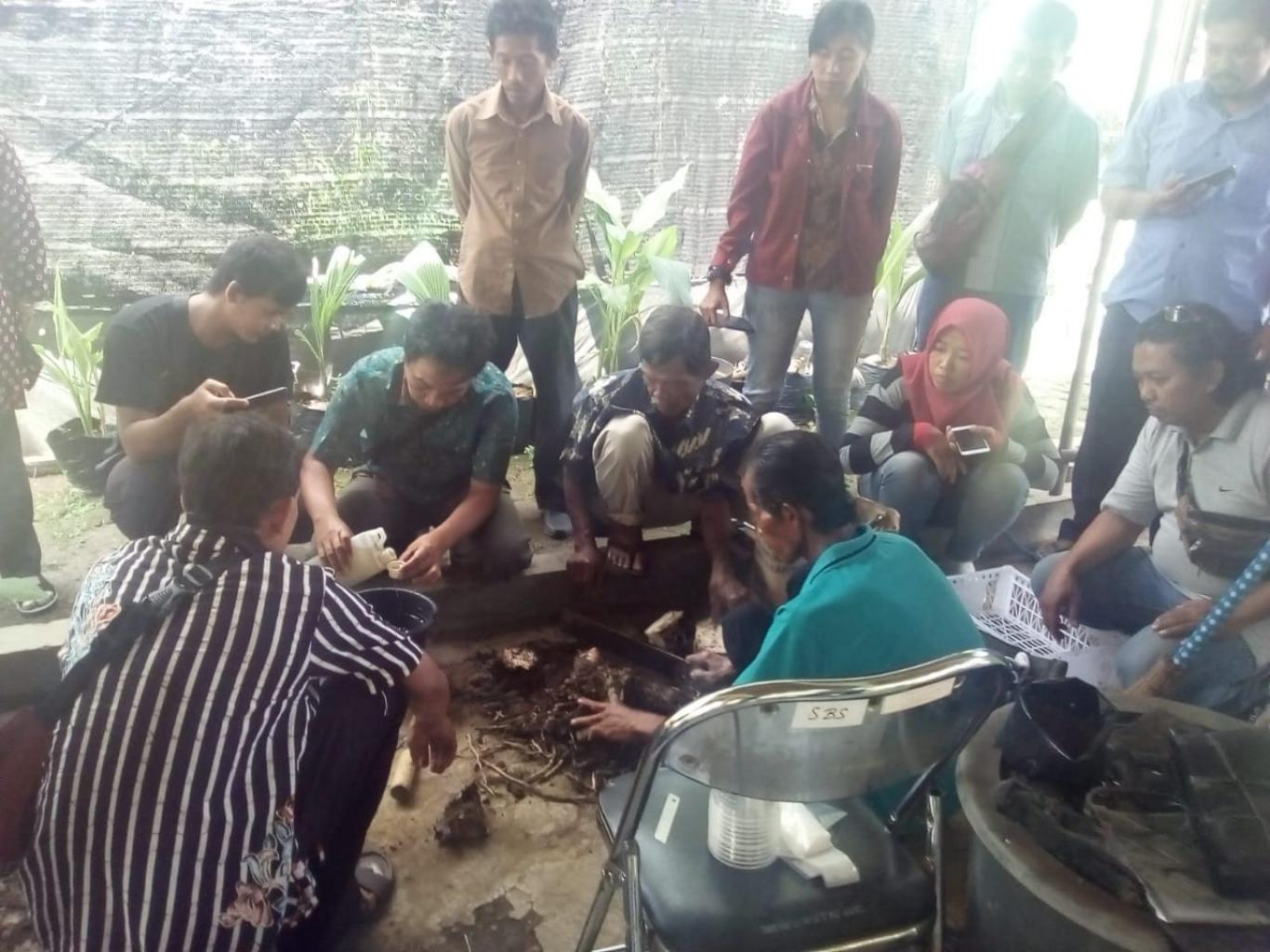 Mbah Lasiyo; Profesor Pisang Asal Bantul Membagikan Ilmu