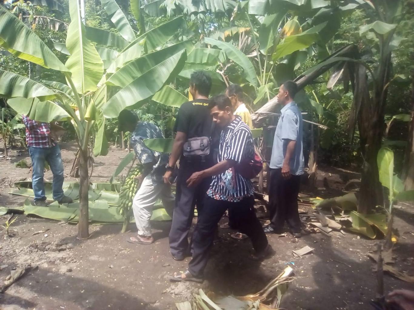 Praktek Pelatihan Pembibitan 