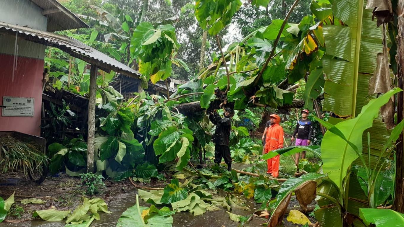 ELITE RESCUE, Pengkondisian Pohon Tumbang di Bedukan