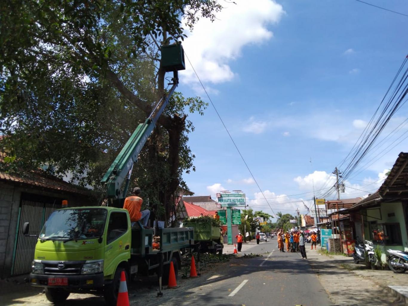 Rabas-rabas, Upaya Pengurangan Resiko Bencana Pohon Tumbang